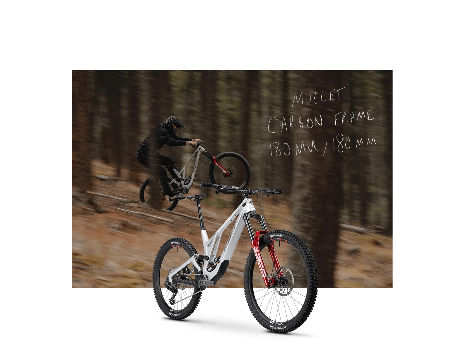 POACHA – YOUR FREERIDE STATEMENT