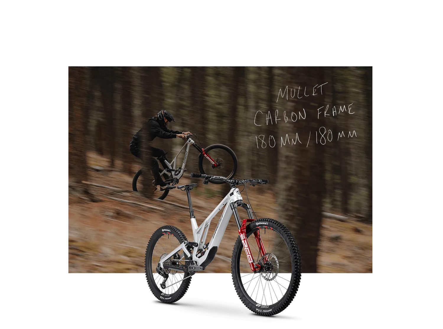 POACHA – YOUR FREERIDE STATEMENT
